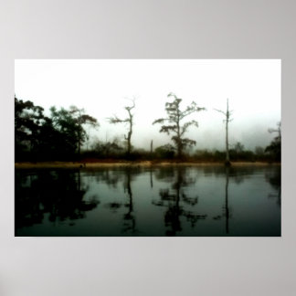 Louisiana Swamp Morning Poster