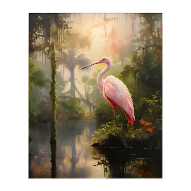 Louisiana Swamp: Roseate Spoonbill Acrylic Print (Front)