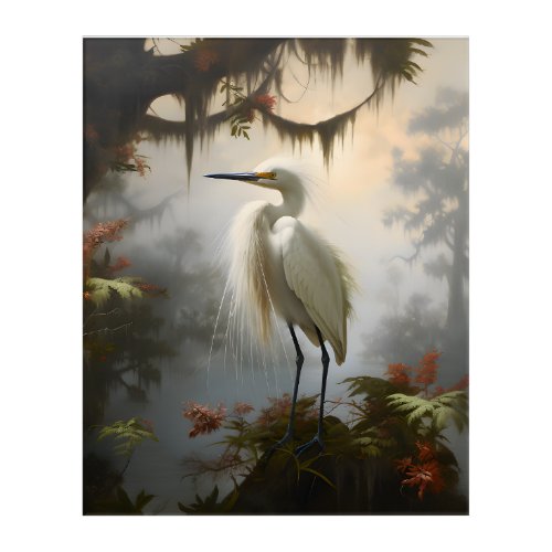 Louisiana Swamp Snowy Egret Acrylic Print