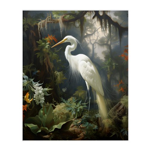 Louisiana Swamp White Egret Acrylic Print