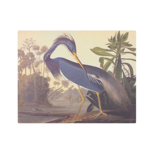 Louisiana Tricolored Heron Audubon Vintage Bird Metal Print