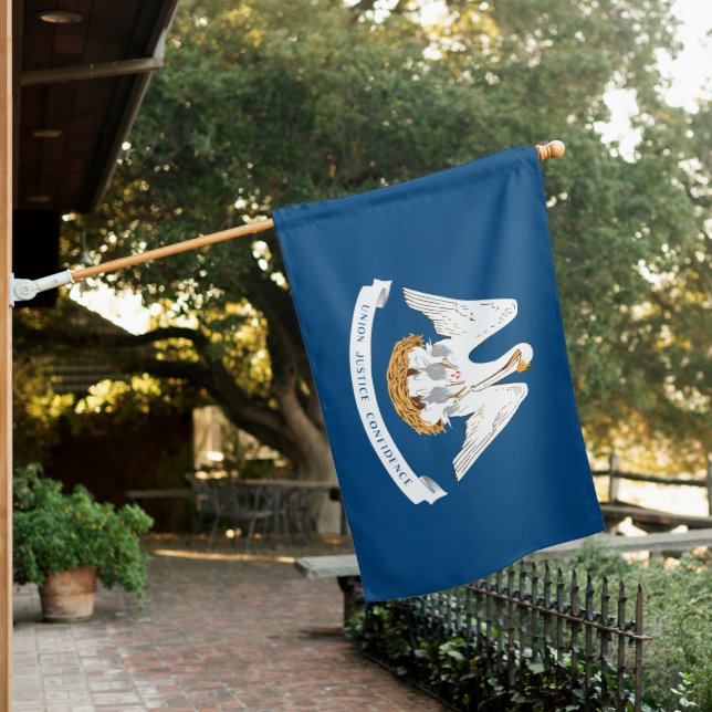 Louisiana (US State) House Flag (In SItu)