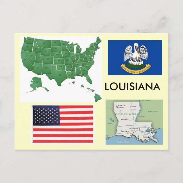 Louisiana, USA Postcard (Front)