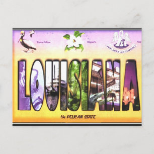 Louisiana Vintage Postcard