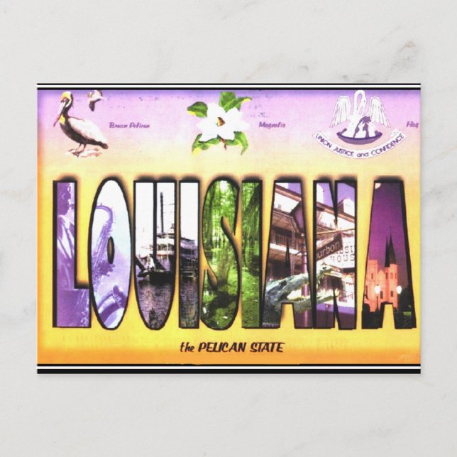 Louisiana Vintage Postcard (Front)
