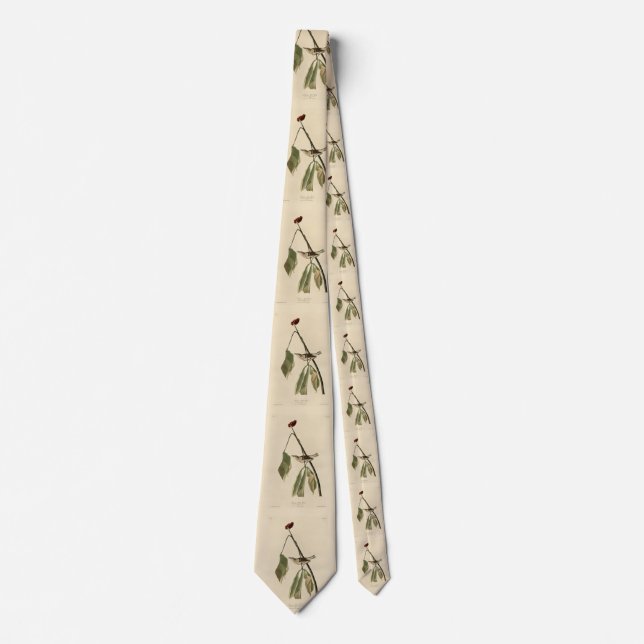 Louisiana Water Thrush, Audubon's Birds of America Neck Tie (Front)