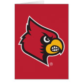 Louisville Cardinal (Front)
