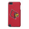 Louisville Cardinal