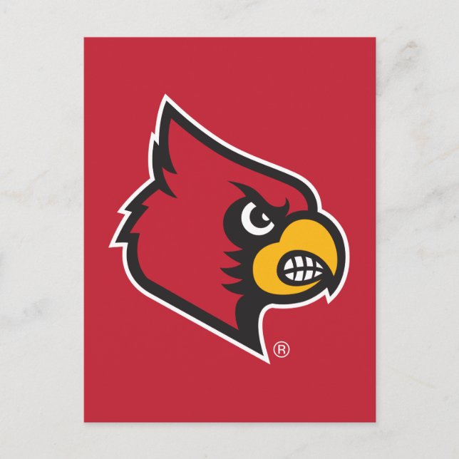 Louisville Cardinal Postcard (Front)