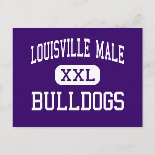 Louisville Male - Bulldogs - High - Louisville Postcard