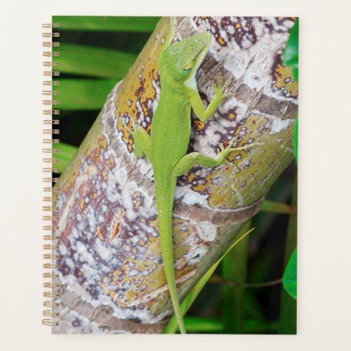 Lounge Lizard Green Gecko     Planner