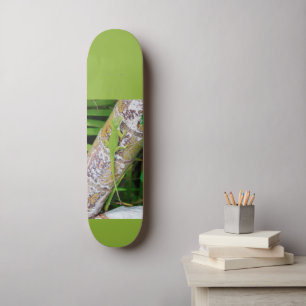 Lounge Lizard Green Gecko Skateboard
