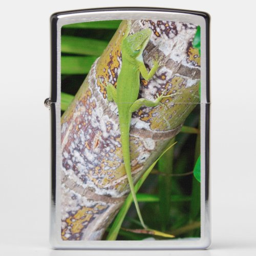 Lounge Lizard Green Gecko   Zippo Lighter