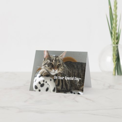 LOUNGING CAT ALL OCCASION CARD