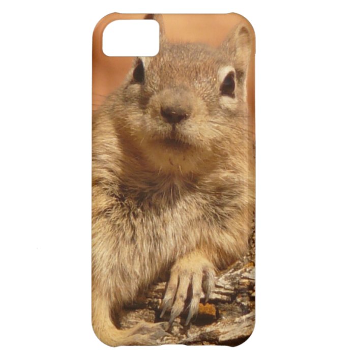 Lounging Chipmunk Cover For iPhone 5C