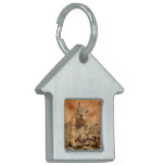 Lounging Chipmunk Pet Tag