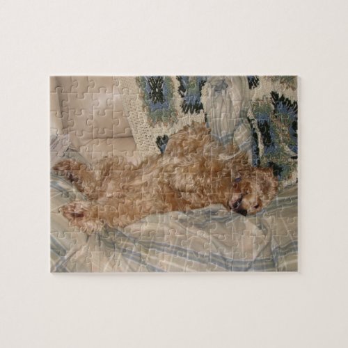 Lounging Cocker Spaniel Jigsaw Puzzle