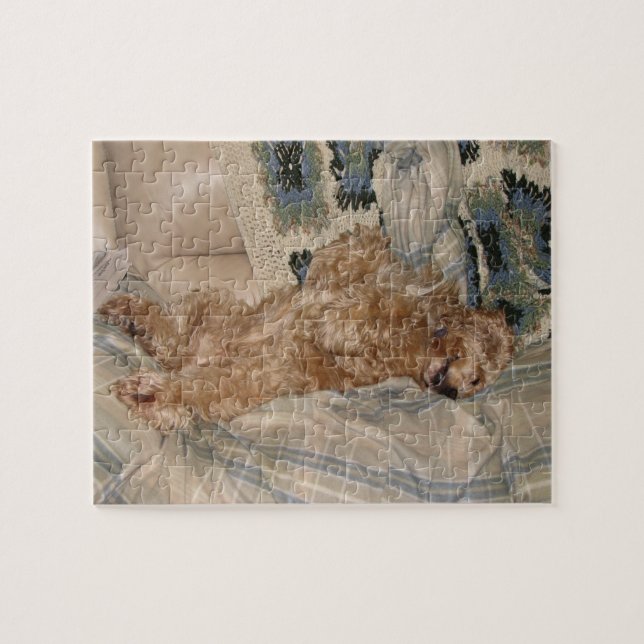 Lounging Cocker Spaniel Jigsaw Puzzle (Horizontal)
