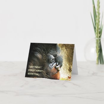 Lounging Gorilla Belated Birthday Card by StriveDesigns at Zazzle