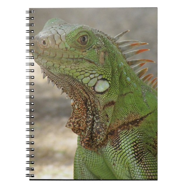 Lounging Lizard Notebook (Front)