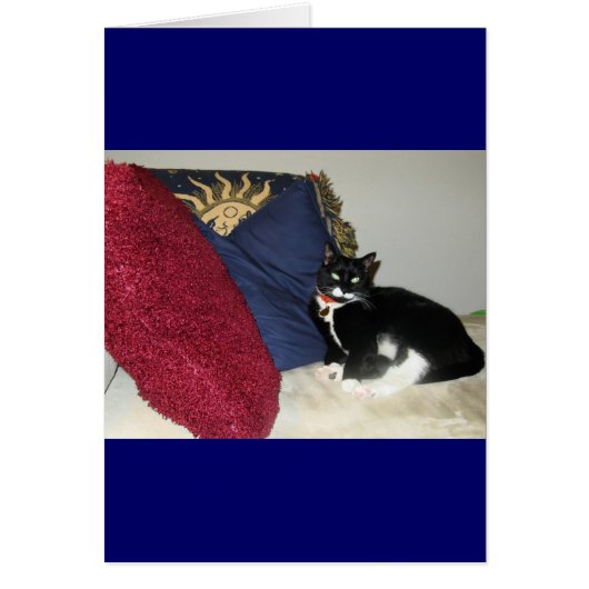 Lounging Lucy (Front)