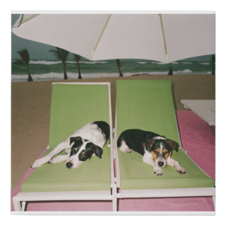 Lounging Pups Faux Canvas Print