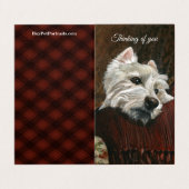 Lounging Westie on Sofa (Outside Unfolded)