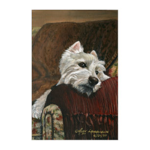 Lounging Westie on Sofa Acrylic Print