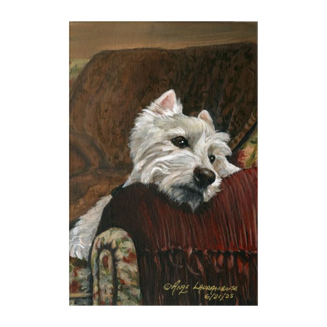 Lounging Westie on Sofa Acrylic Print (Front)