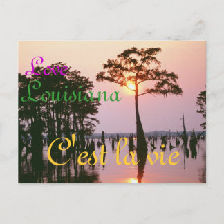 Lousiana/Atchafalaya Basin Postcard