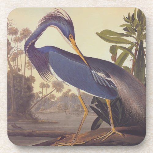 Lousiana Heron in Gray Green and Blue by Audubon Beverage Coaster