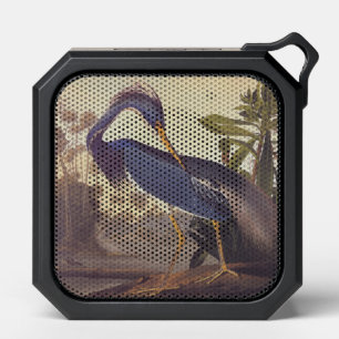 Lousiana Heron in Gray, Green, and Blue by Audubon Bluetooth Speaker