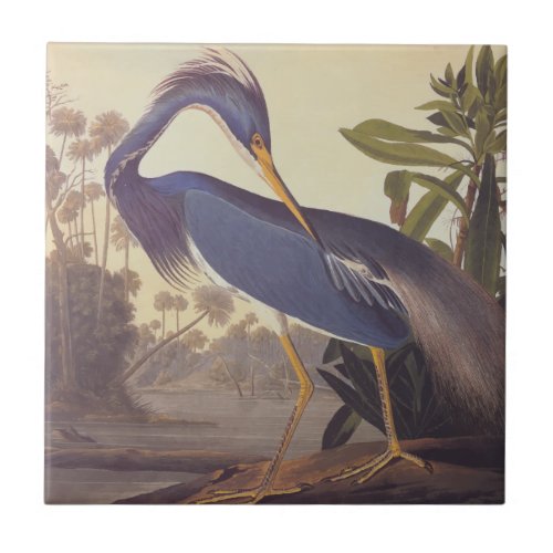 Lousiana Heron in Gray Green and Blue by Audubon Ceramic Tile
