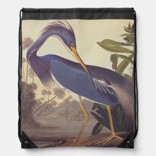 Lousiana Heron in Gray Green and Blue by Audubon Drawstring Bag