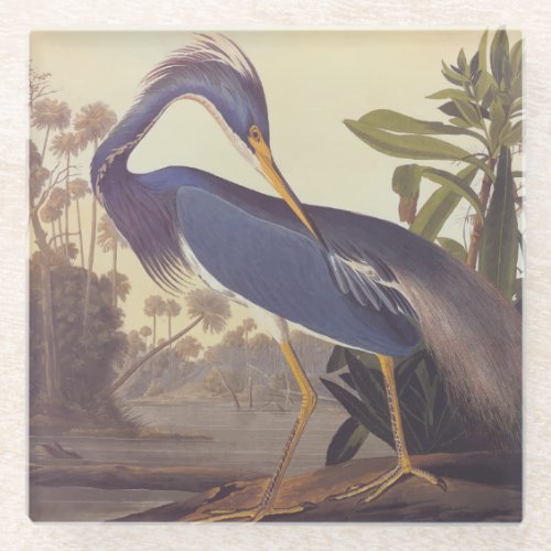 Lousiana Heron in Gray Green and Blue by Audubon Glass Coaster