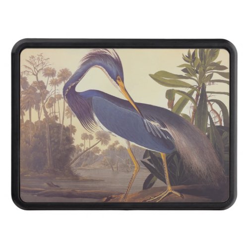 Lousiana Heron in Gray Green and Blue by Audubon Hitch Cover