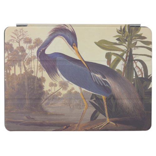 Lousiana Heron in Gray Green and Blue by Audubon iPad Air Cover