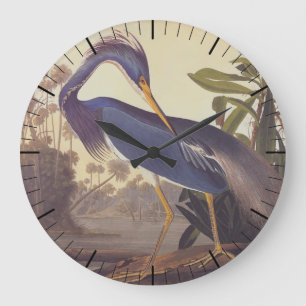Lousiana Heron in Gray, Green, and Blue by Audubon Large Clock