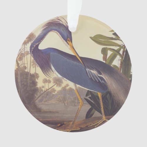 Lousiana Heron in Gray Green and Blue by Audubon Ornament