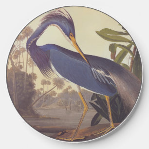 Lousiana Heron in Gray, Green, and Blue by Audubon Wireless Charger