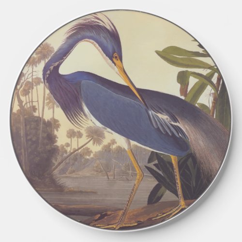 Lousiana Heron in Gray Green and Blue by Audubon Wireless Charger