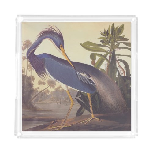 Lousiana Heron on Coastal Marsh by Audubon Acrylic Tray