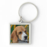 Lovable Beagle Keychain
