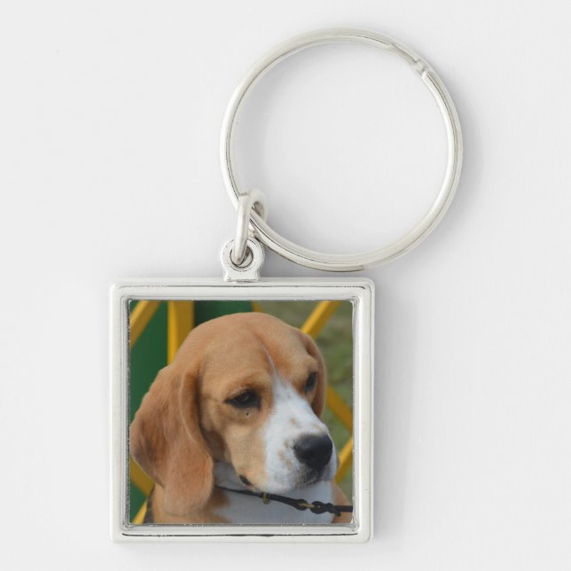 Lovable Beagle Keychain (Front)