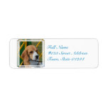 Lovable Beagle Label