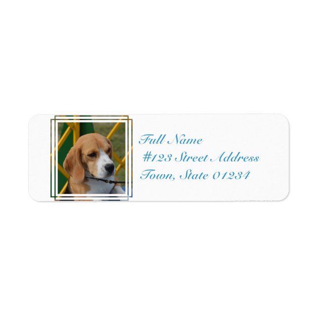 Lovable Beagle Label (Front)