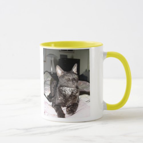 Lovable Cornish Rex Mug