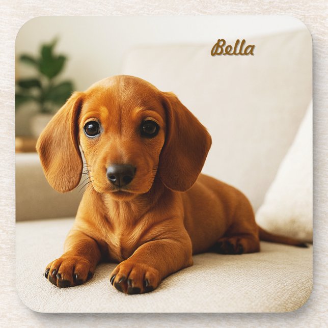 Lovable Dachshund Personalized Coaster Set (Front)