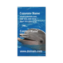 Lovable Dolphin Business Card