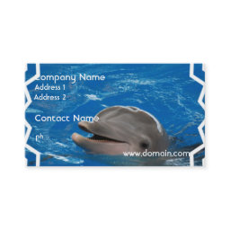Lovable Dolphin Business Card